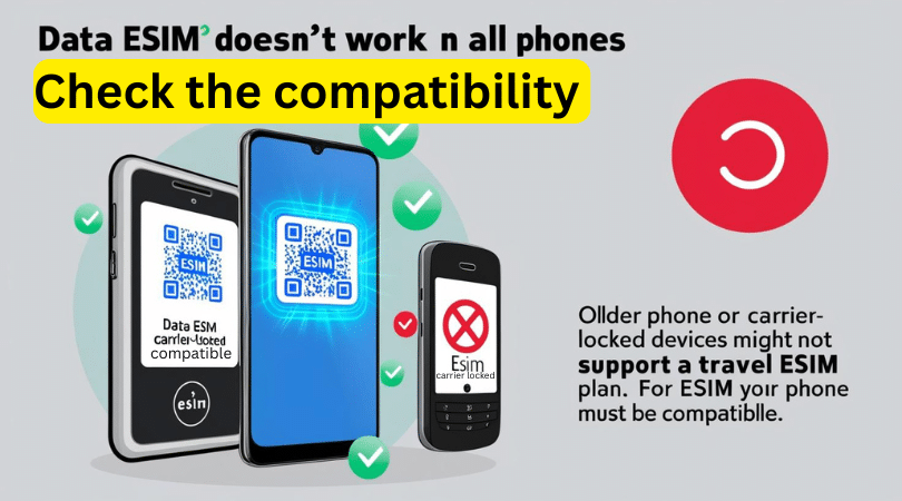 Older or carrier-locked phones unable to support a Travel eSIM, limiting silent roamers' options.