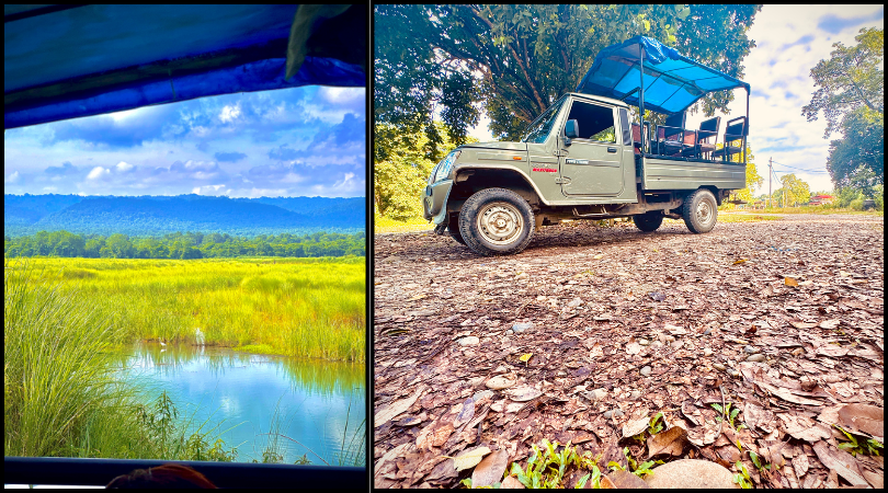 Open safari jeep driving through dense greenery in Chitwan National Park during morning wildlife expedition.