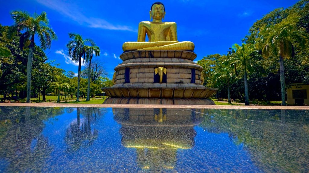 Peaceful Buddha statue in Victoria Park, Colombo, surrounded by lush greenery and calm atmosphere.